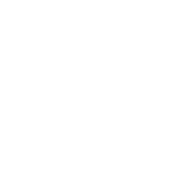 SYNAPSE ELECTRONICS